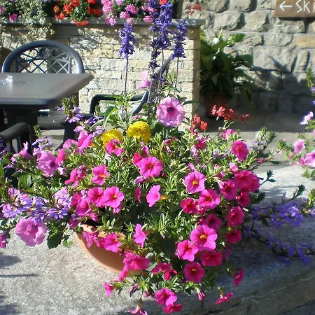 Edelweiss 3* Pré-Saint-Didier