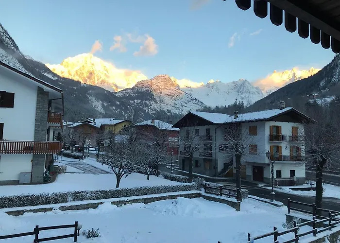 Edelweiss Pré-Saint-Didier
