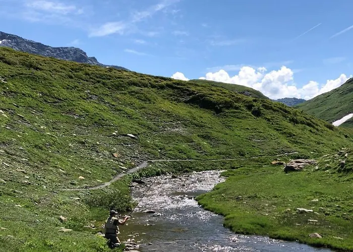 מלון Edelweiss 3*